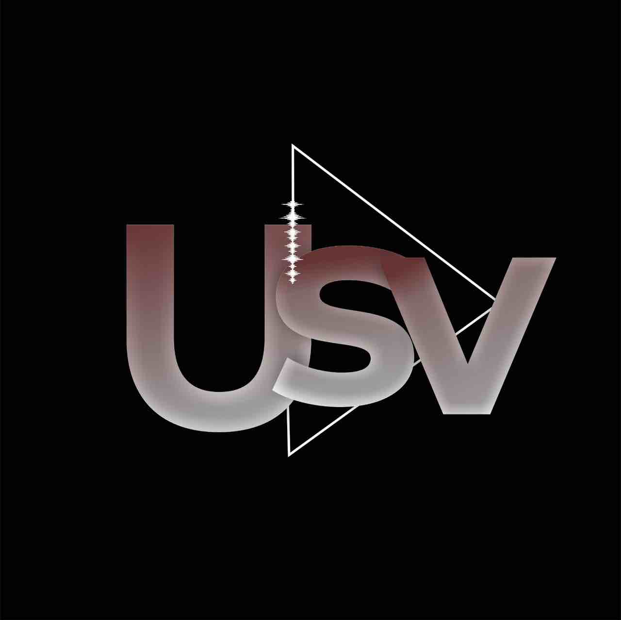 Ultimate Sound Ventures 