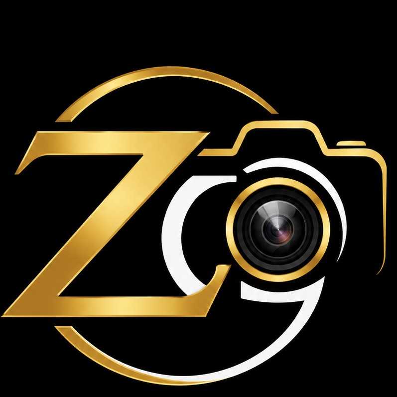 Zedd  focus