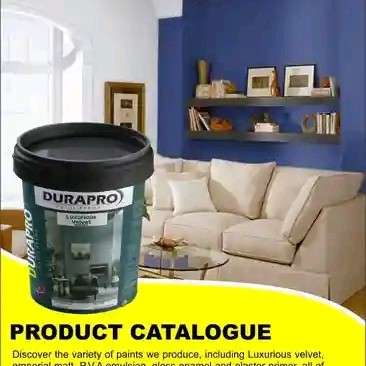 Durapro paint products