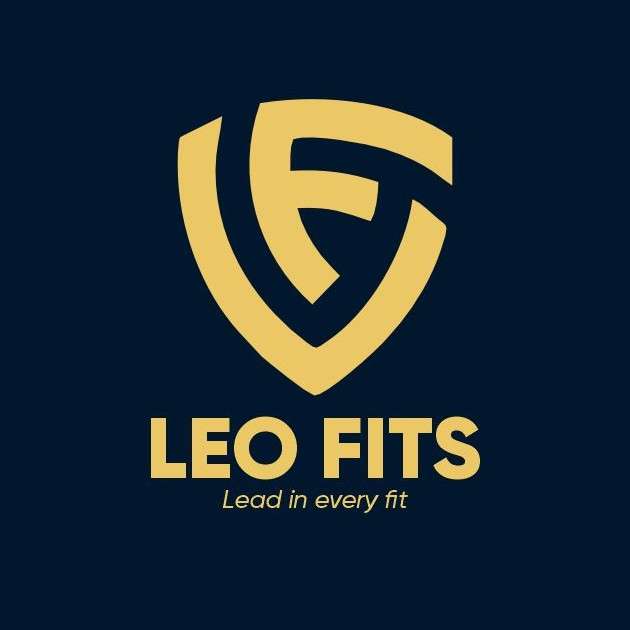 LEO FITS