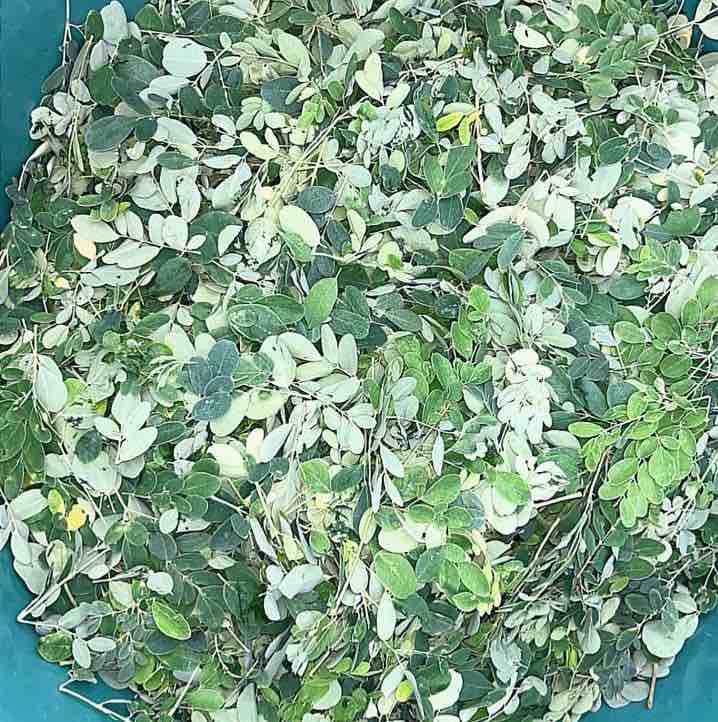 Dry Spices, Seeds And Herbs 